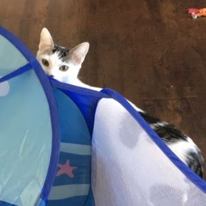 Meet your Posher, Emma